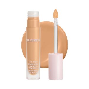 Power Plush Longwear Concealer