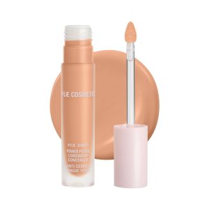 Power Plush Longwear Concealer